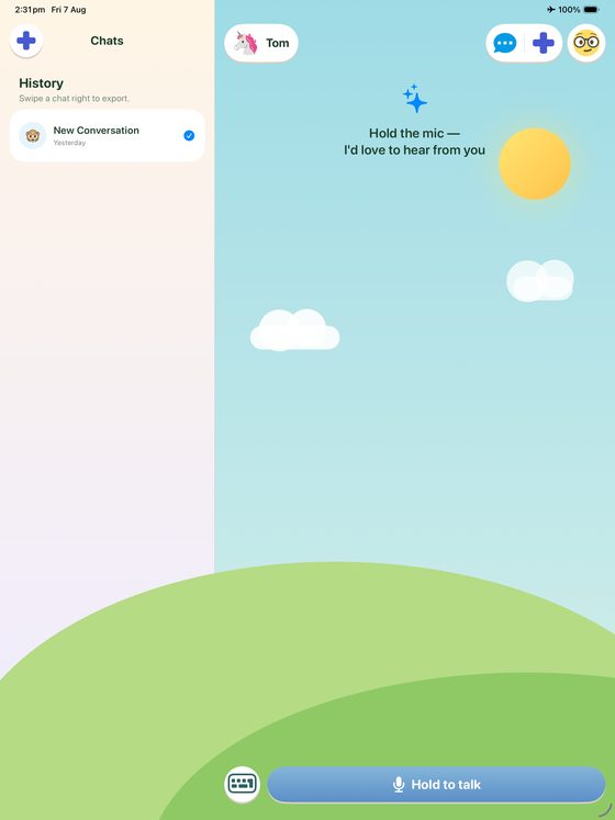 The two-pane iPad layout with conversation history in a side panel beside the chat